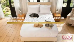 protector de colchon para mascotas